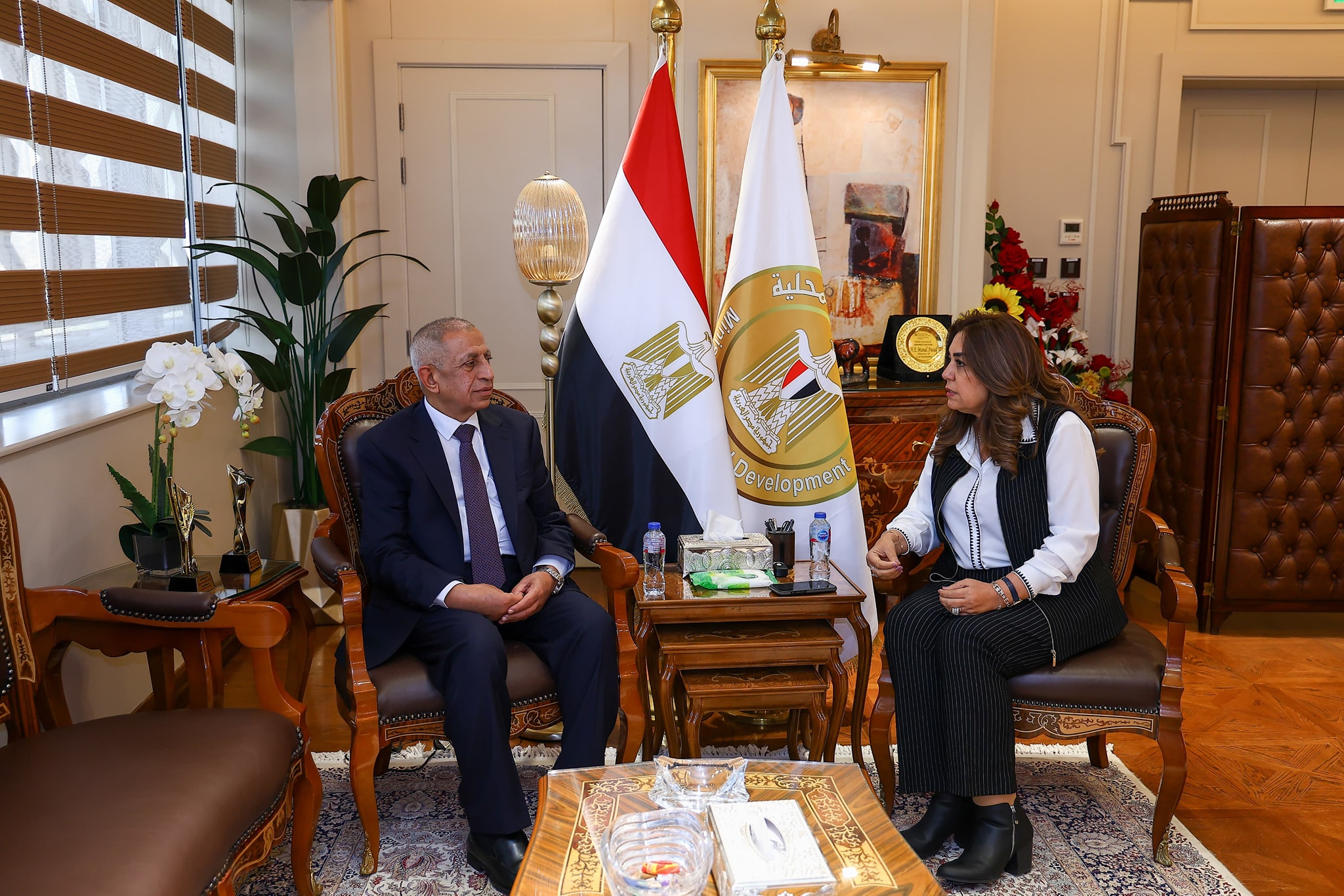 التنمية المحلية