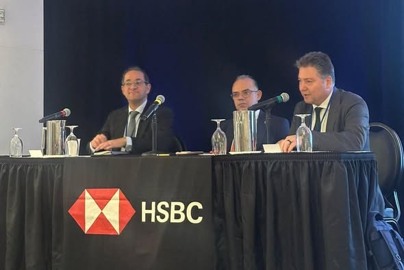 رئيس هيئة الرقابة المالية