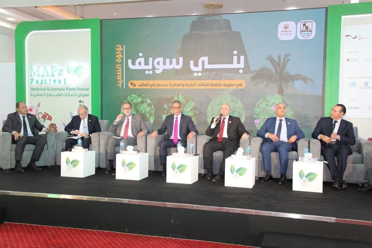 رئيس تنمية الصعيد