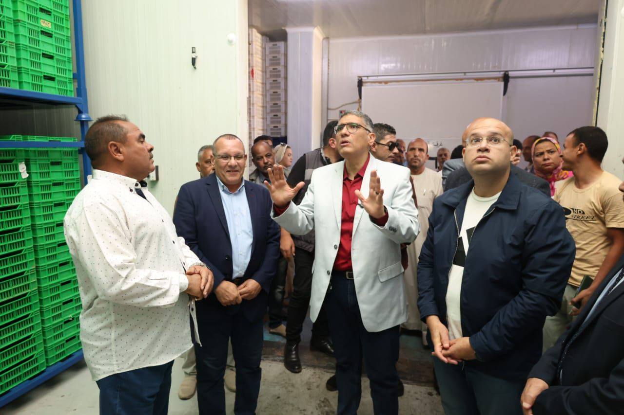 محافظ الجيزة