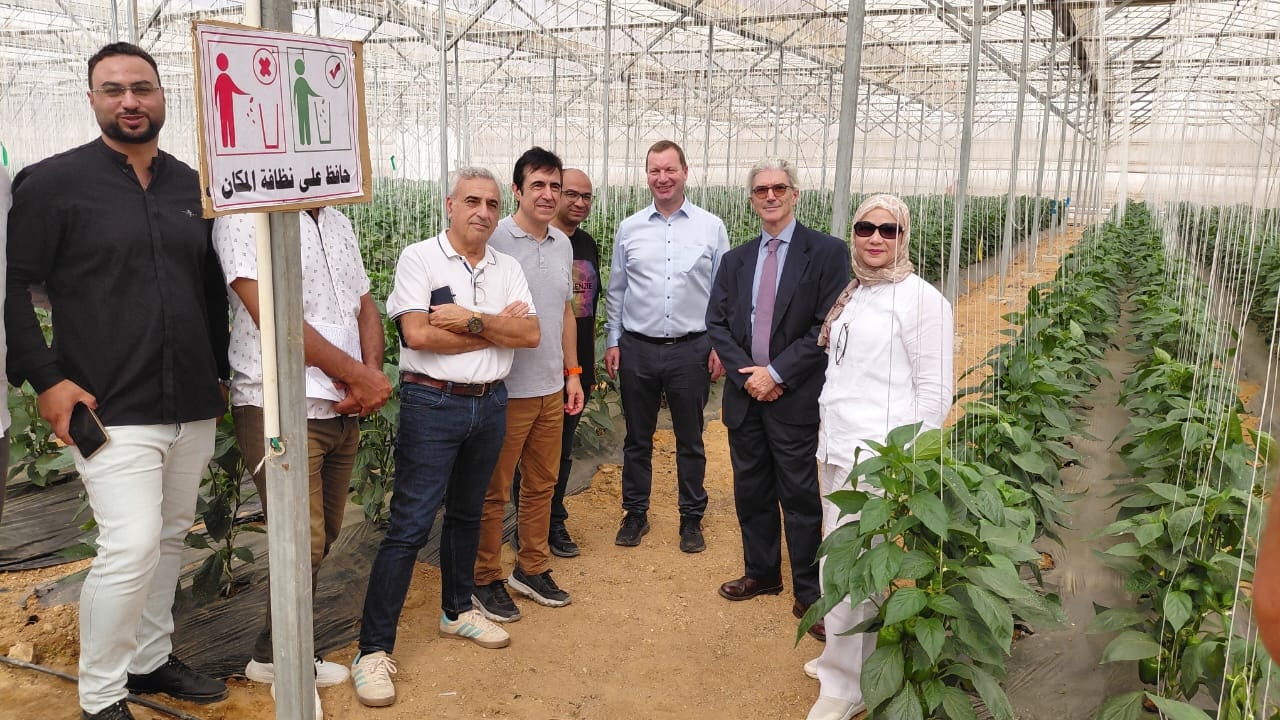 سلامة الغذاء