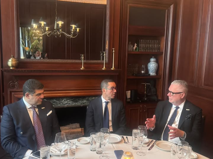 وزير الاستثمار