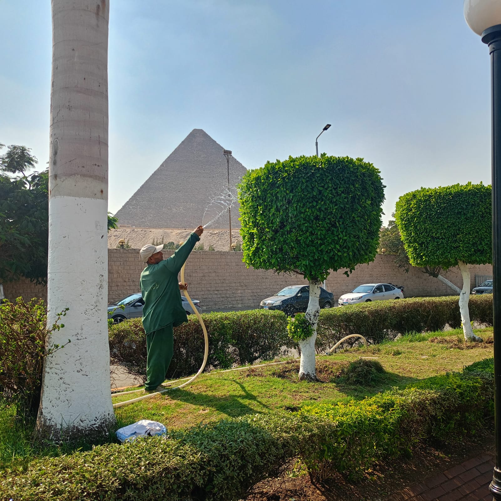 محافظة الجيزة