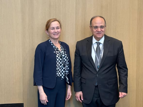 رئيس هيئة الدواء المصرية