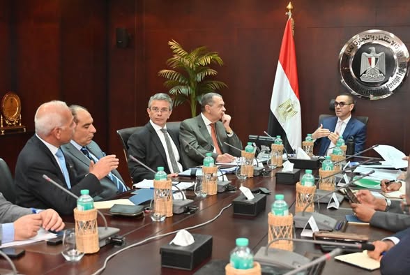 وزير الاستثمار