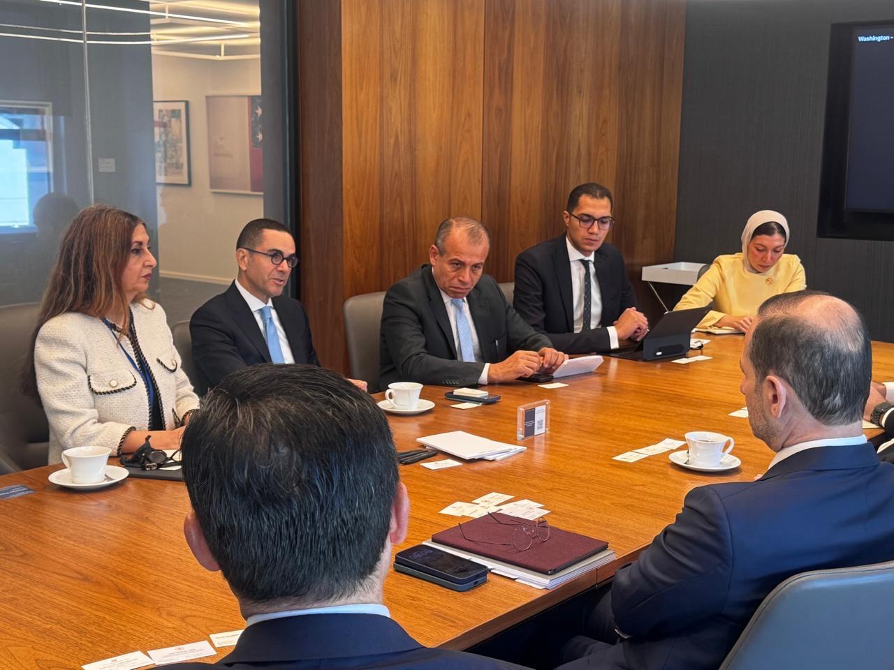 وزير الاستثمار