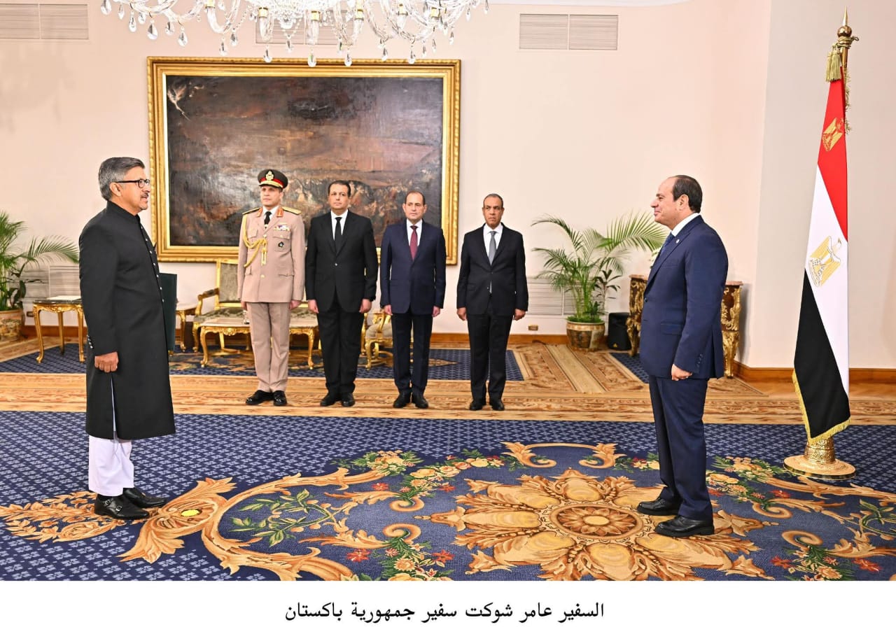 الرئيس السيسى