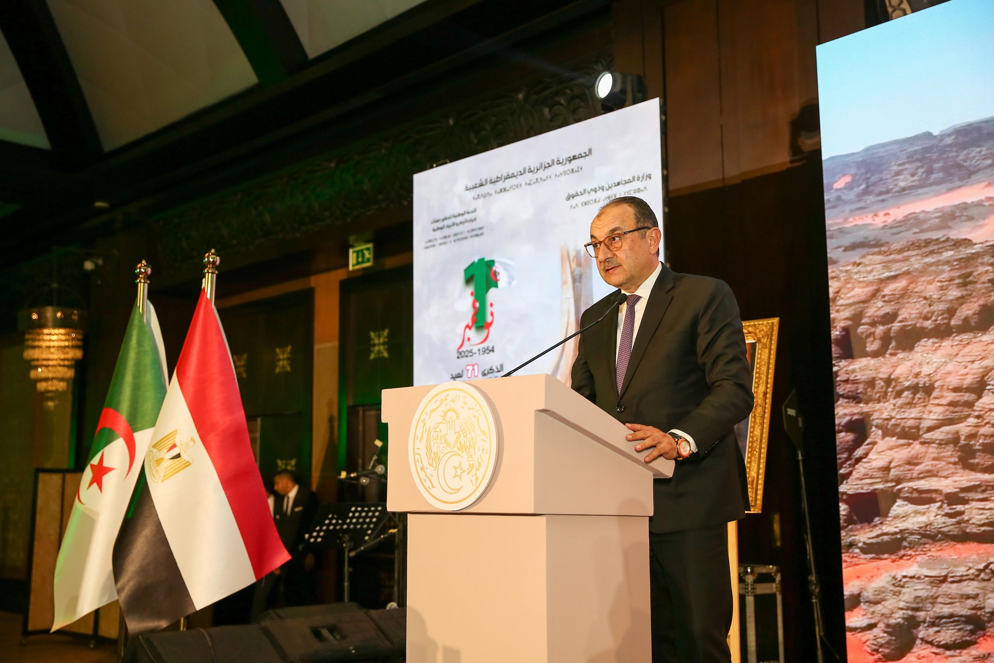 وزير قطاع الأعمال