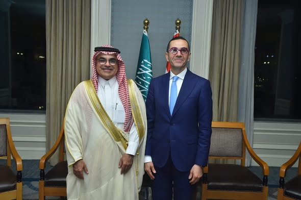 وزير الاستثمار 