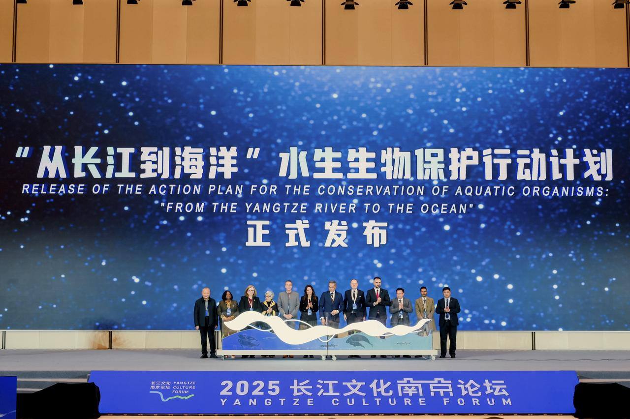 نائب محافظ الجيزة