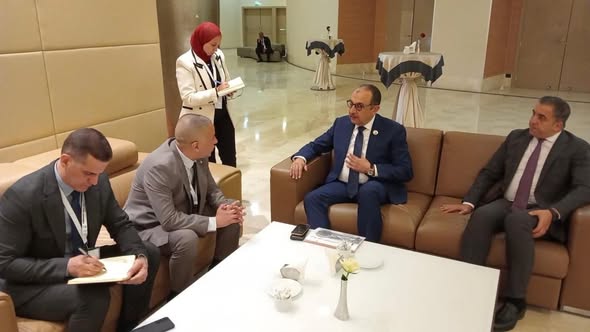 وزير قطاع الأعمال 