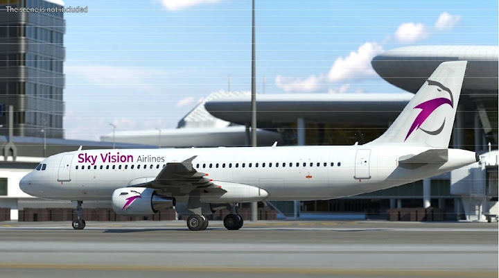 سكاي فيجن للخطوط الجوية