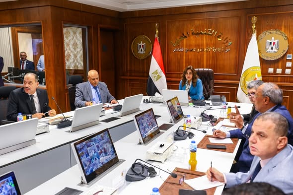 التنمية المحلية