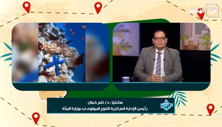 البحر الأحمر