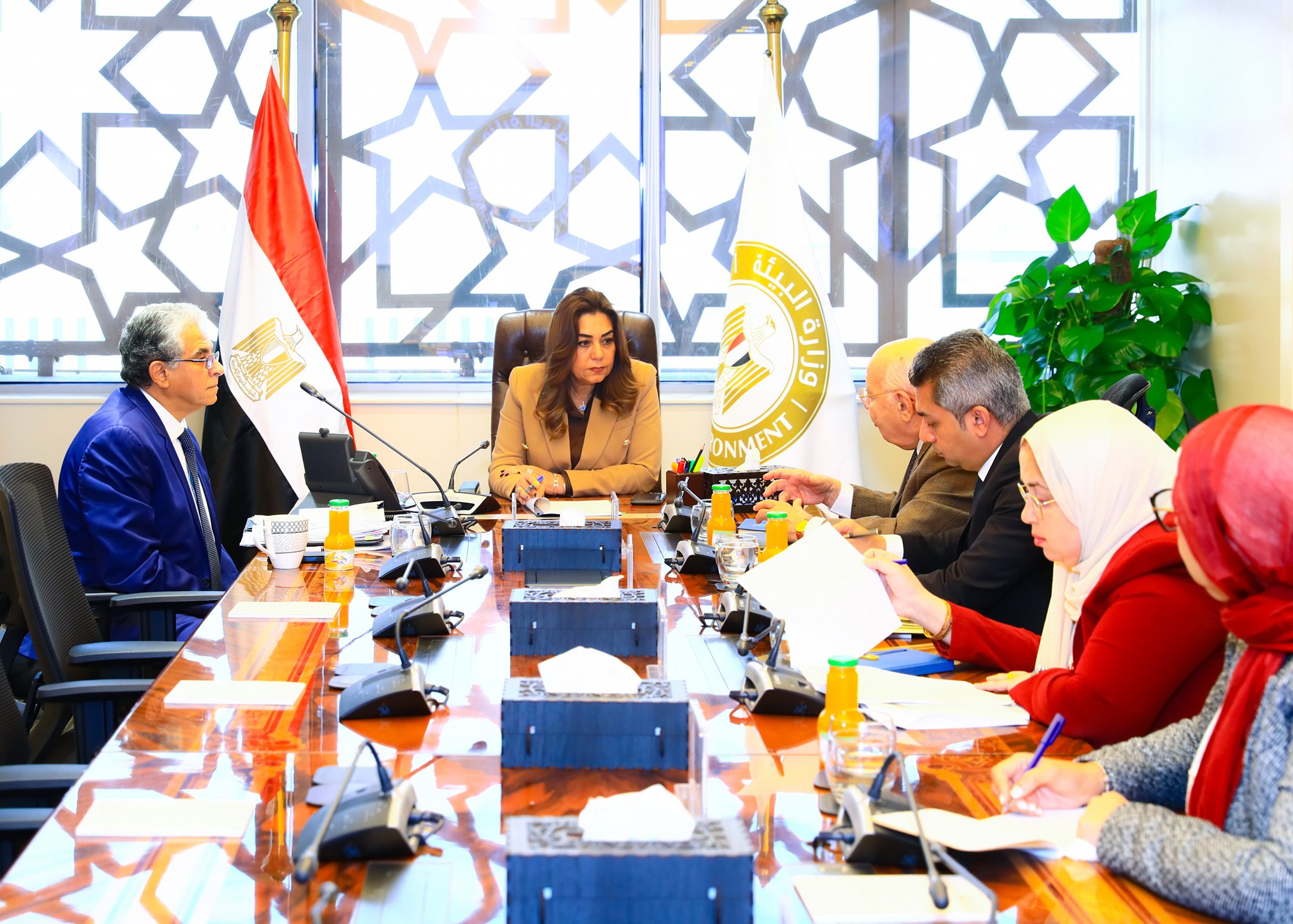 وزيرة التنمية