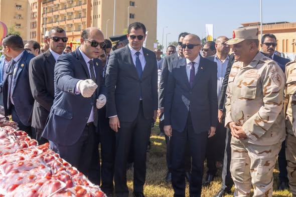 صندوق تحيا مصر