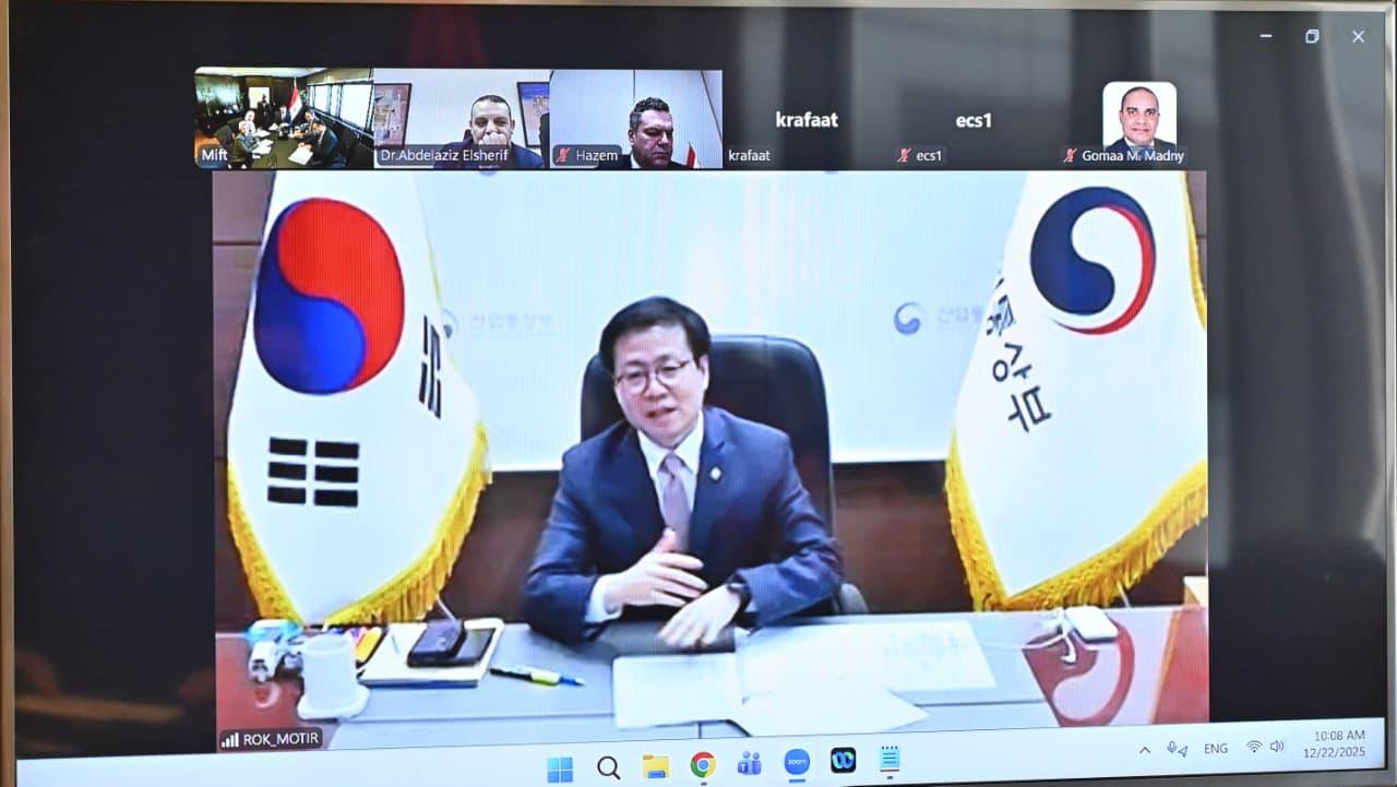 مصر وكوريا الجنوبية