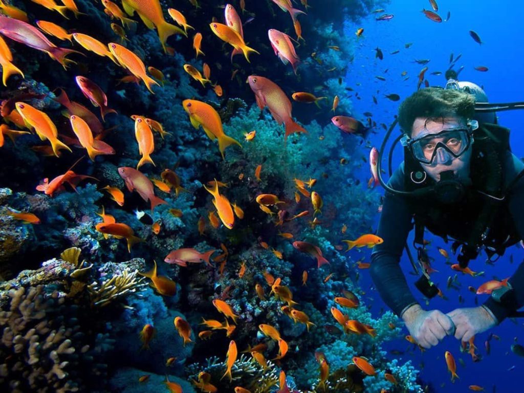 البحر الأحمر