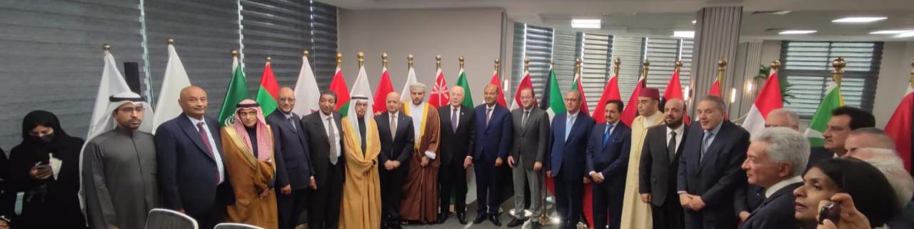 وزير المالية