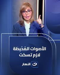 لميس الحديدي