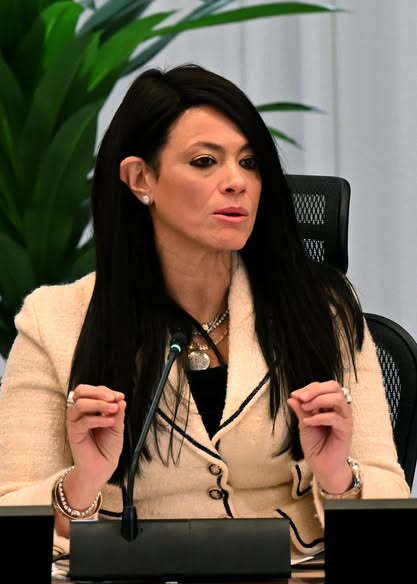 وزيرة التخطيط