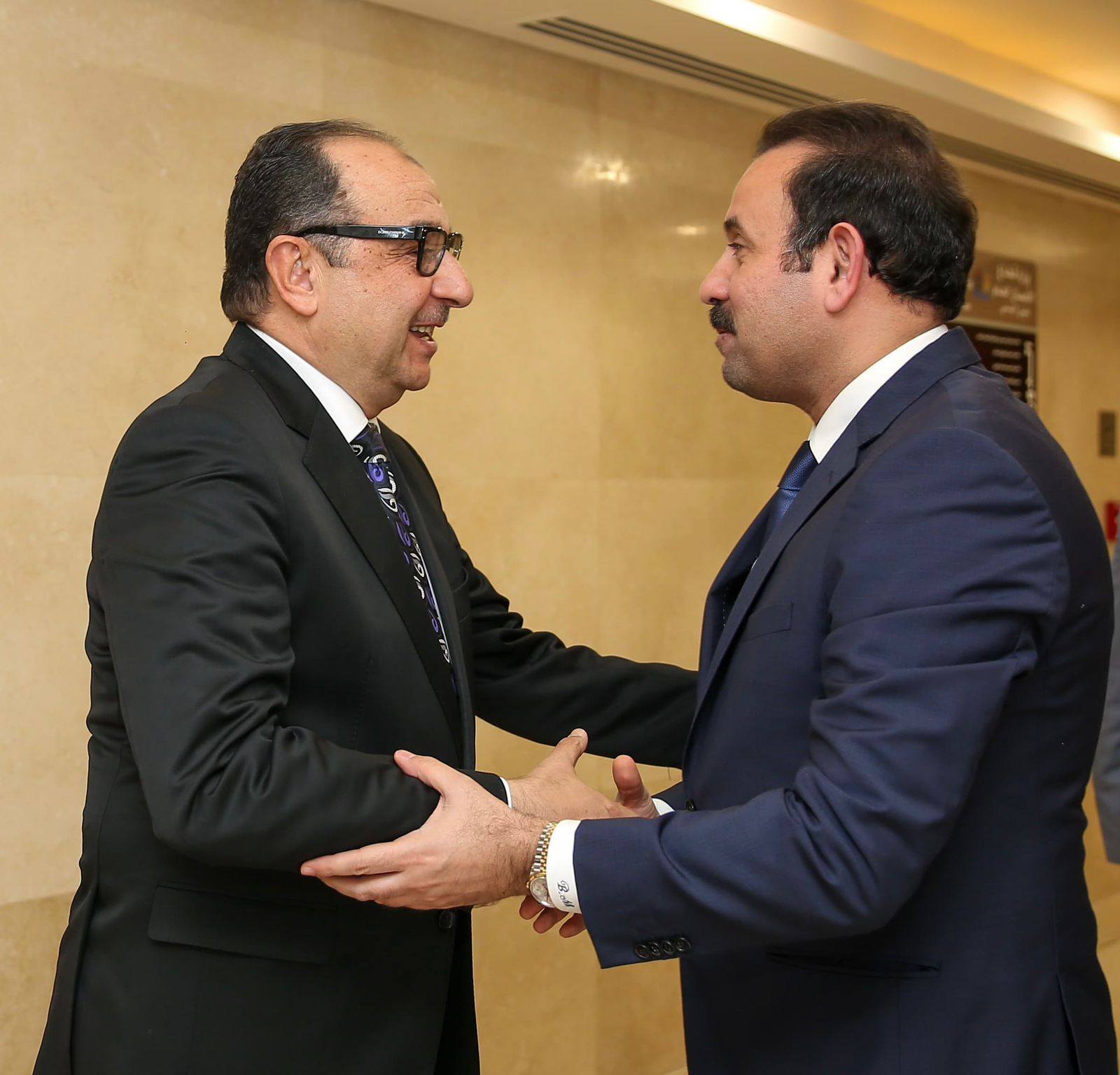 وزير قطاع الأعمال العام