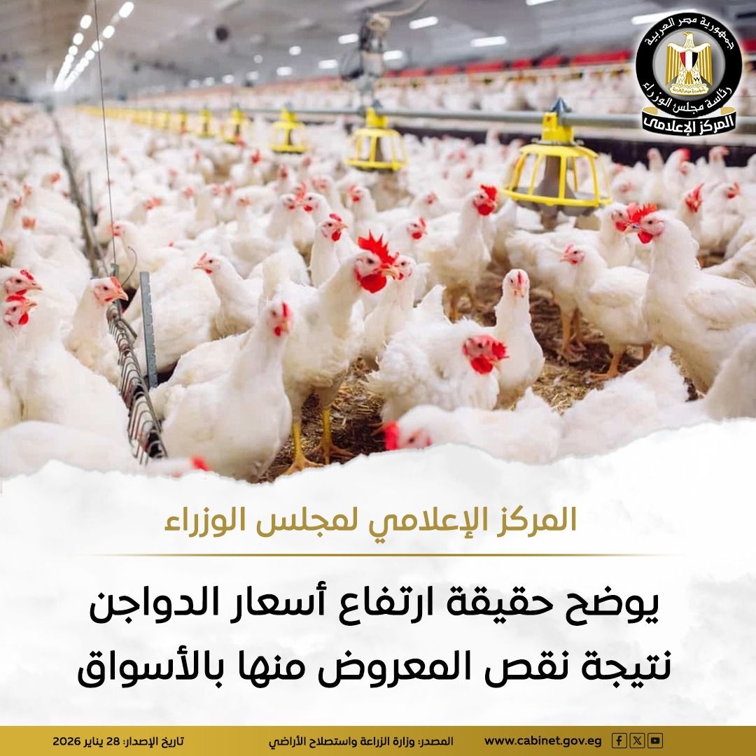 المركز الإعلامي لمجلس الوزراء