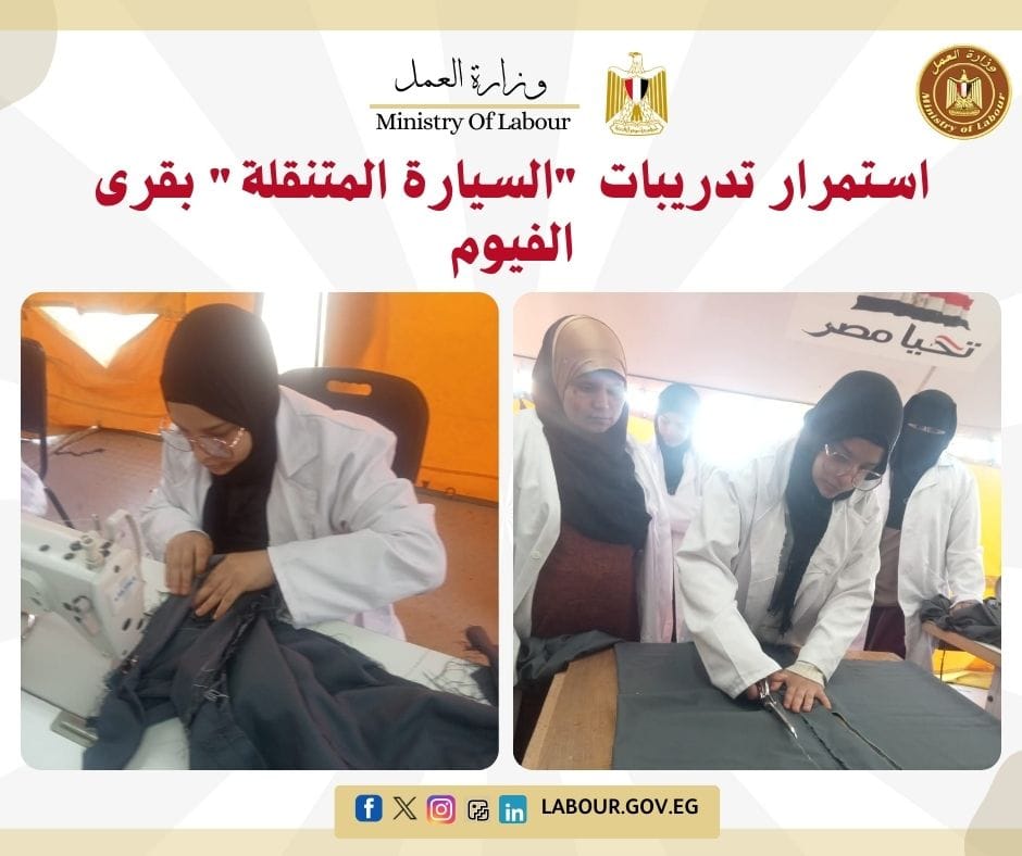 مدير مديرية العمل