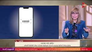 نائب وزير الماليه