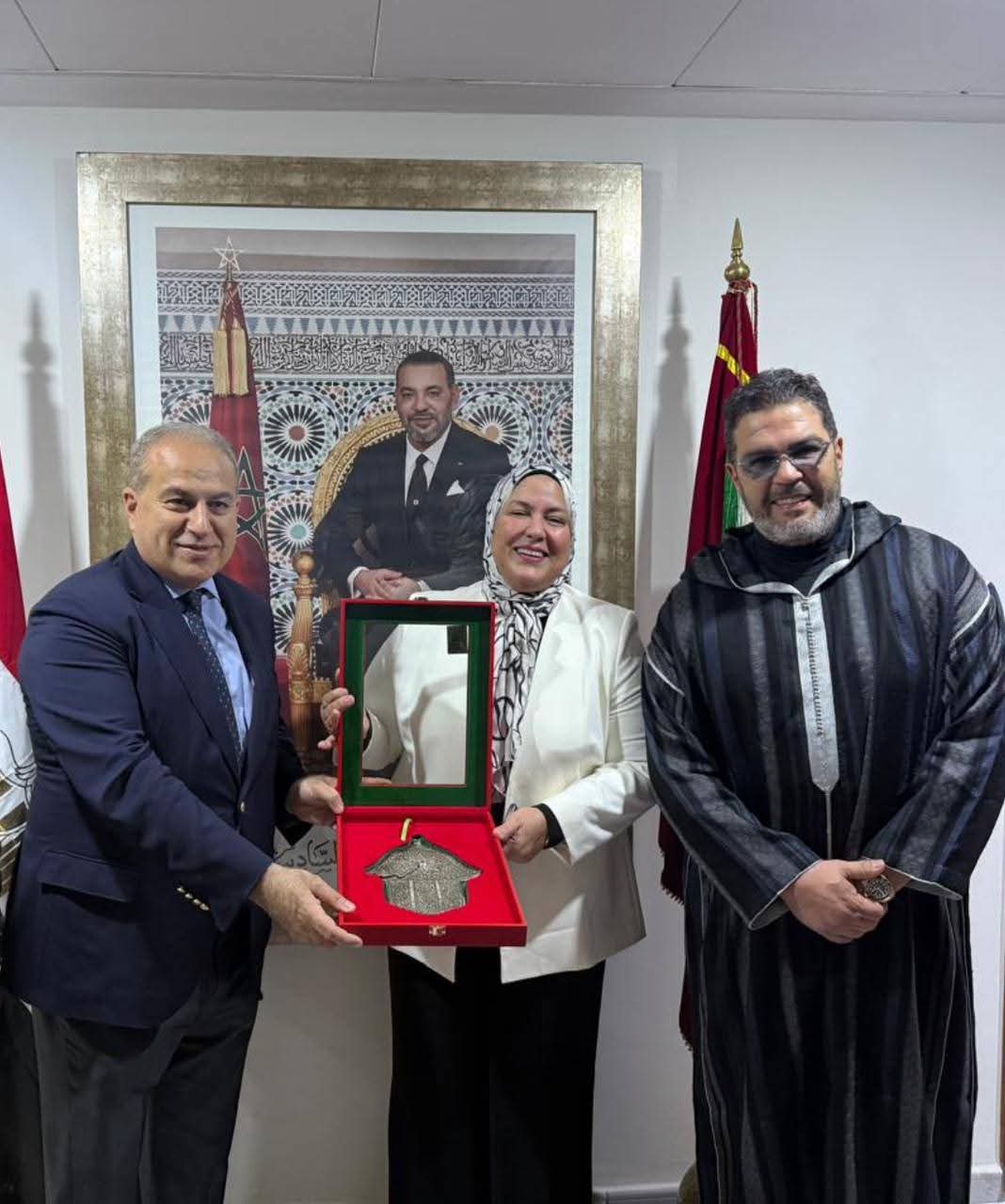 السفير المصري