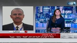 أستاذ جيولوجيا