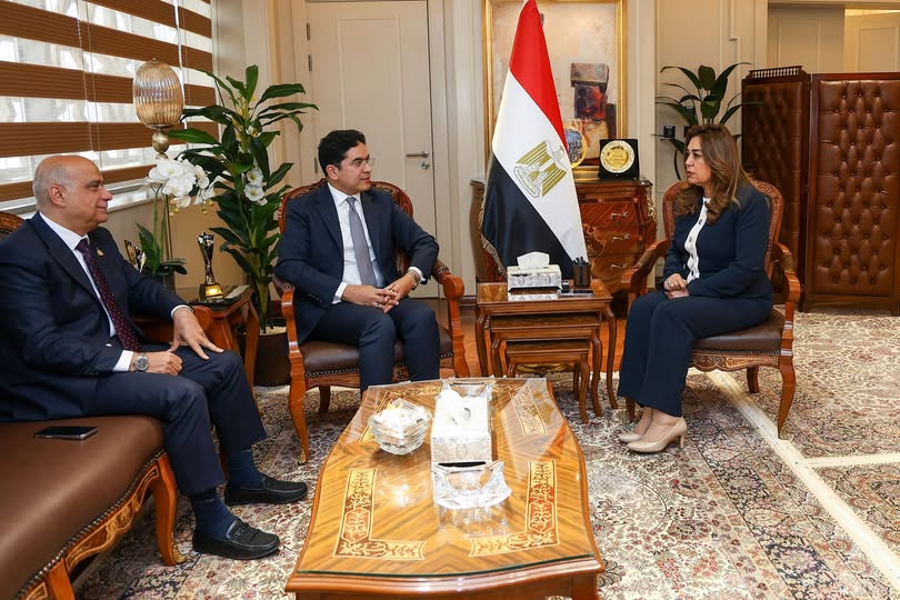 وزيرة التنمية