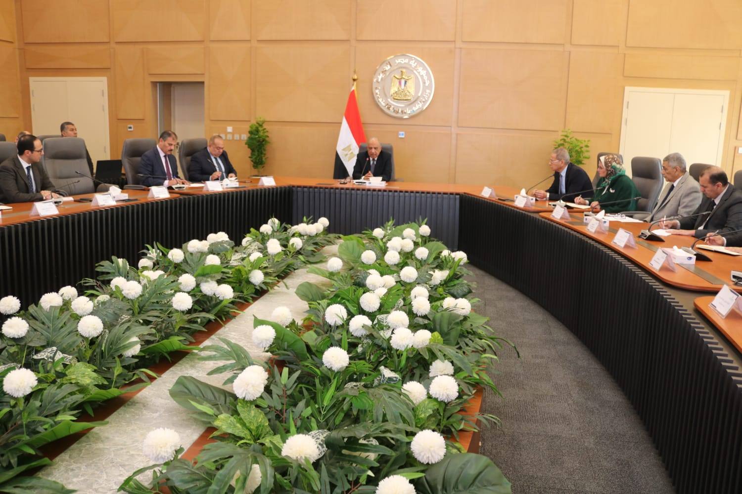 وزير الكهرباء