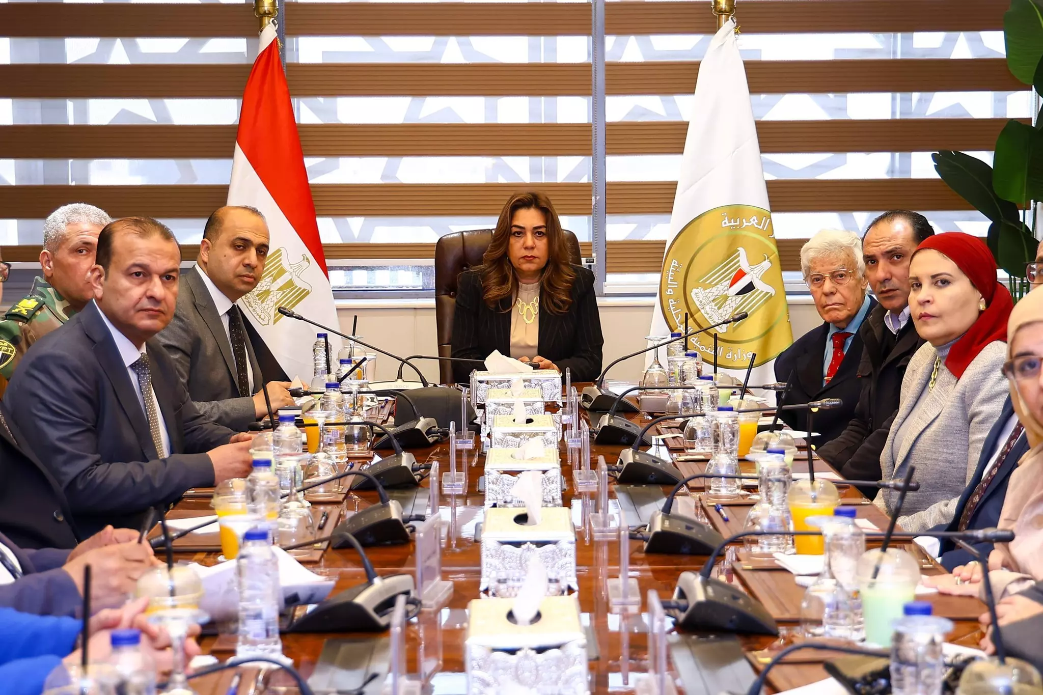 وزيرة التنمية