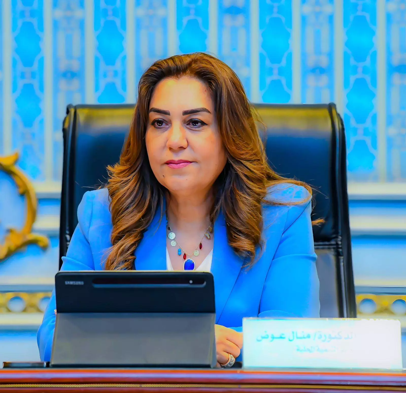 وزيرة التنمية