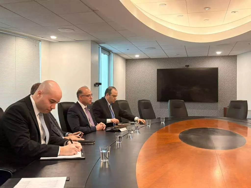 وزير الاستثمار