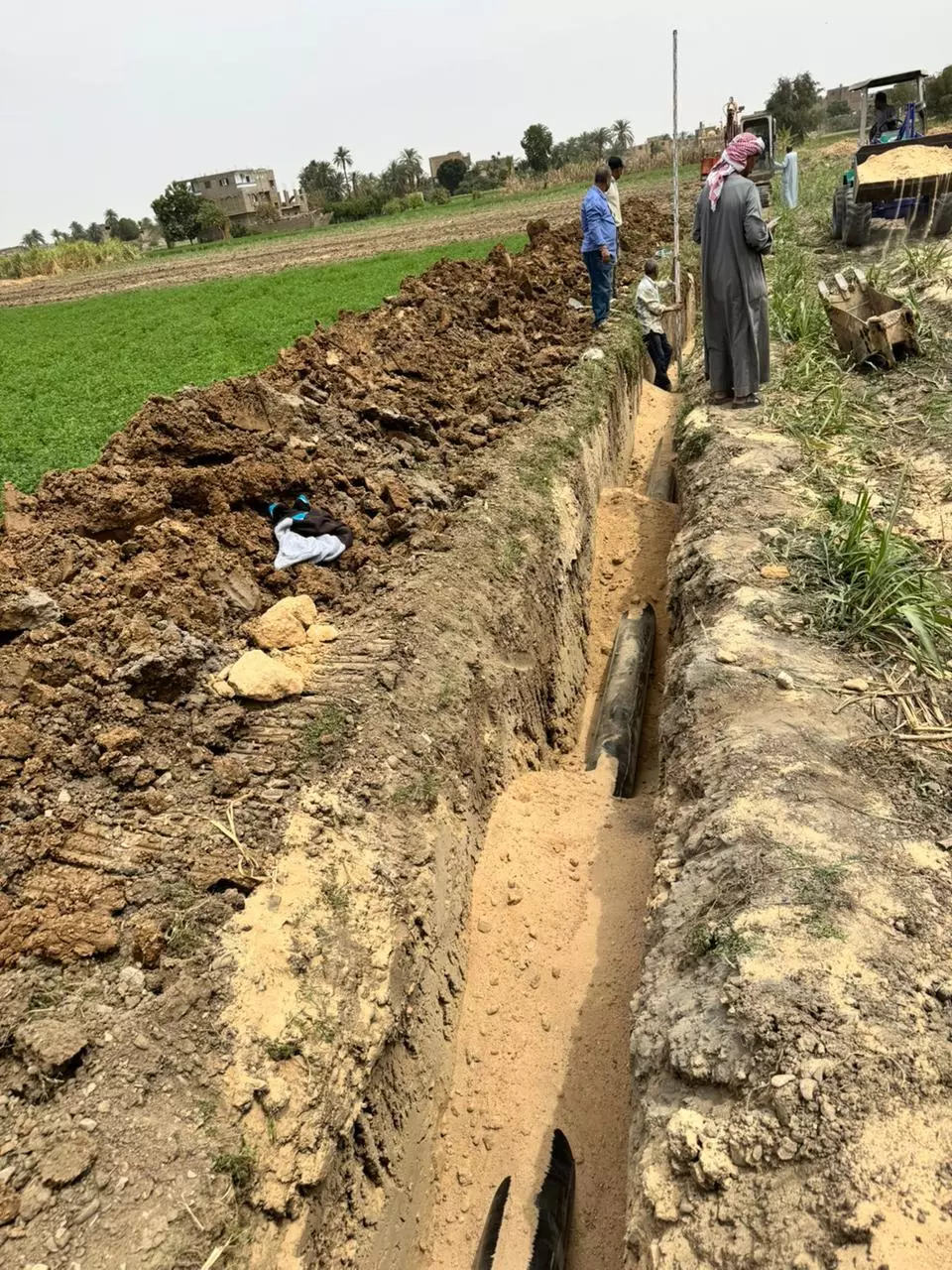 وزير الزراعة