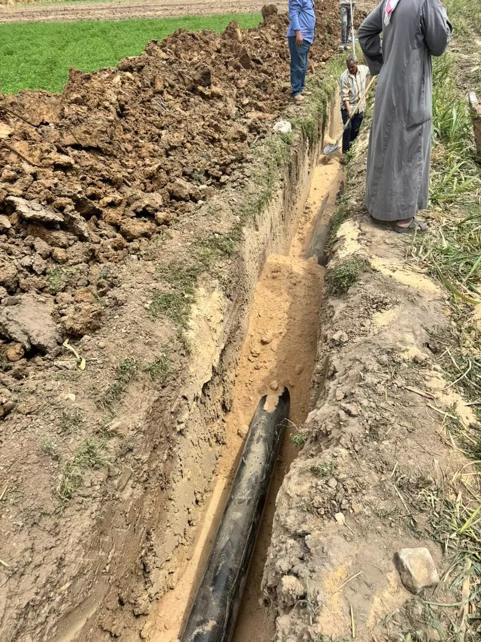 وزير الزراعة