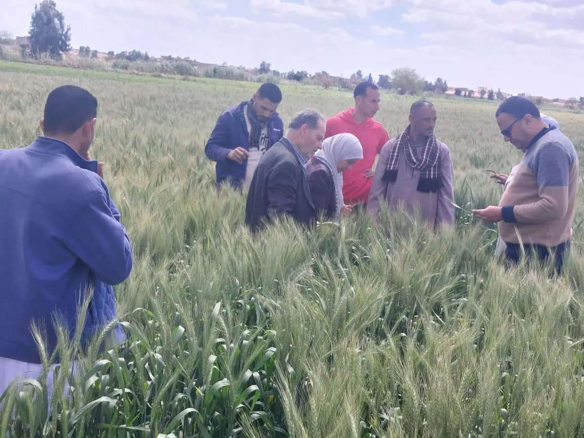 وزارة الزراعة 