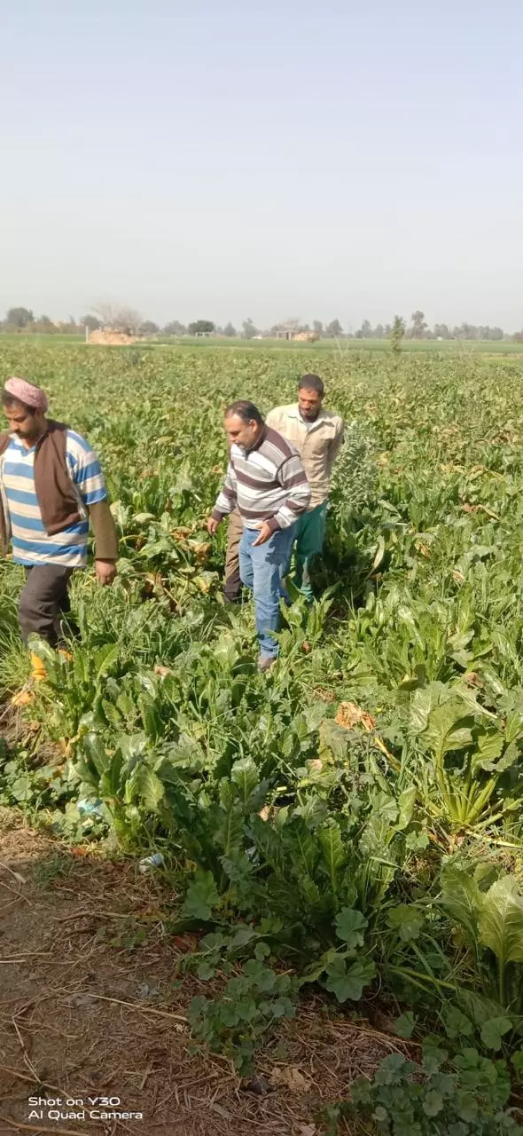 وزارة الزراعة 