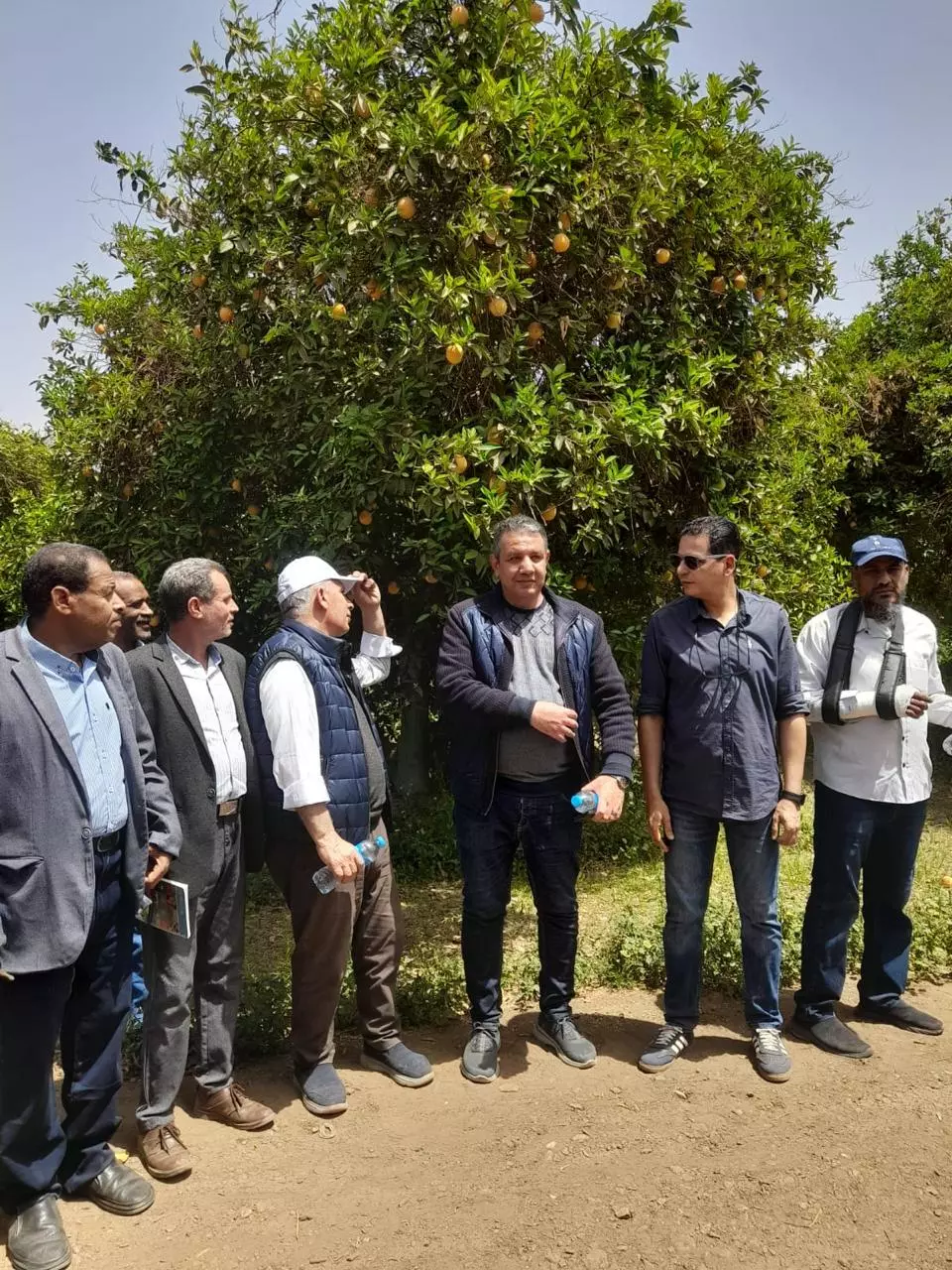 وزارة الزراعة 