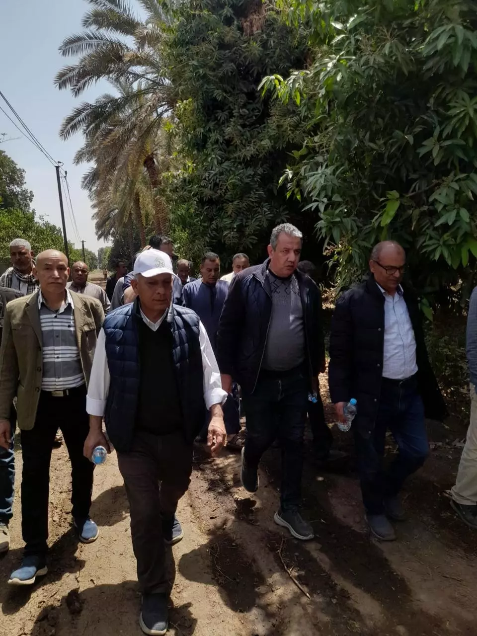 وزارة الزراعة 