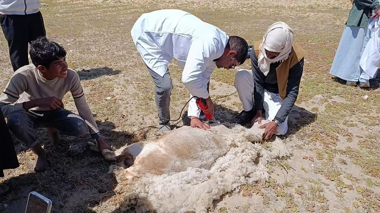 وزارة الزراعة