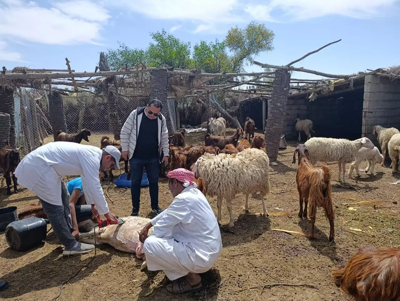 وزارة الزراعة