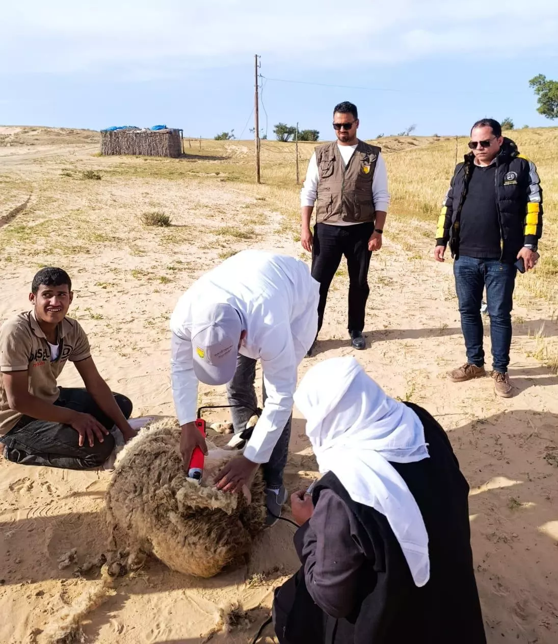 وزارة الزراعة