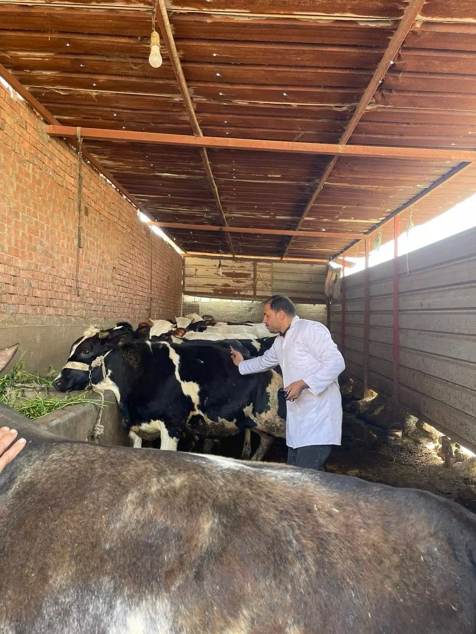 وزارة الزراعة