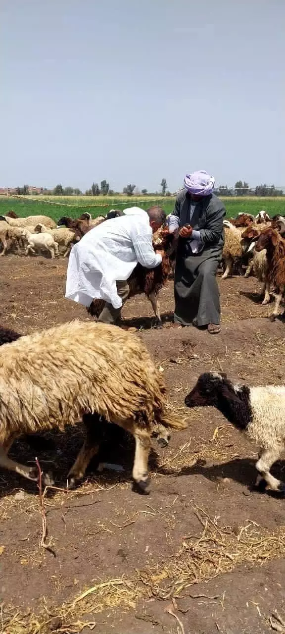 وزارة الزراعة