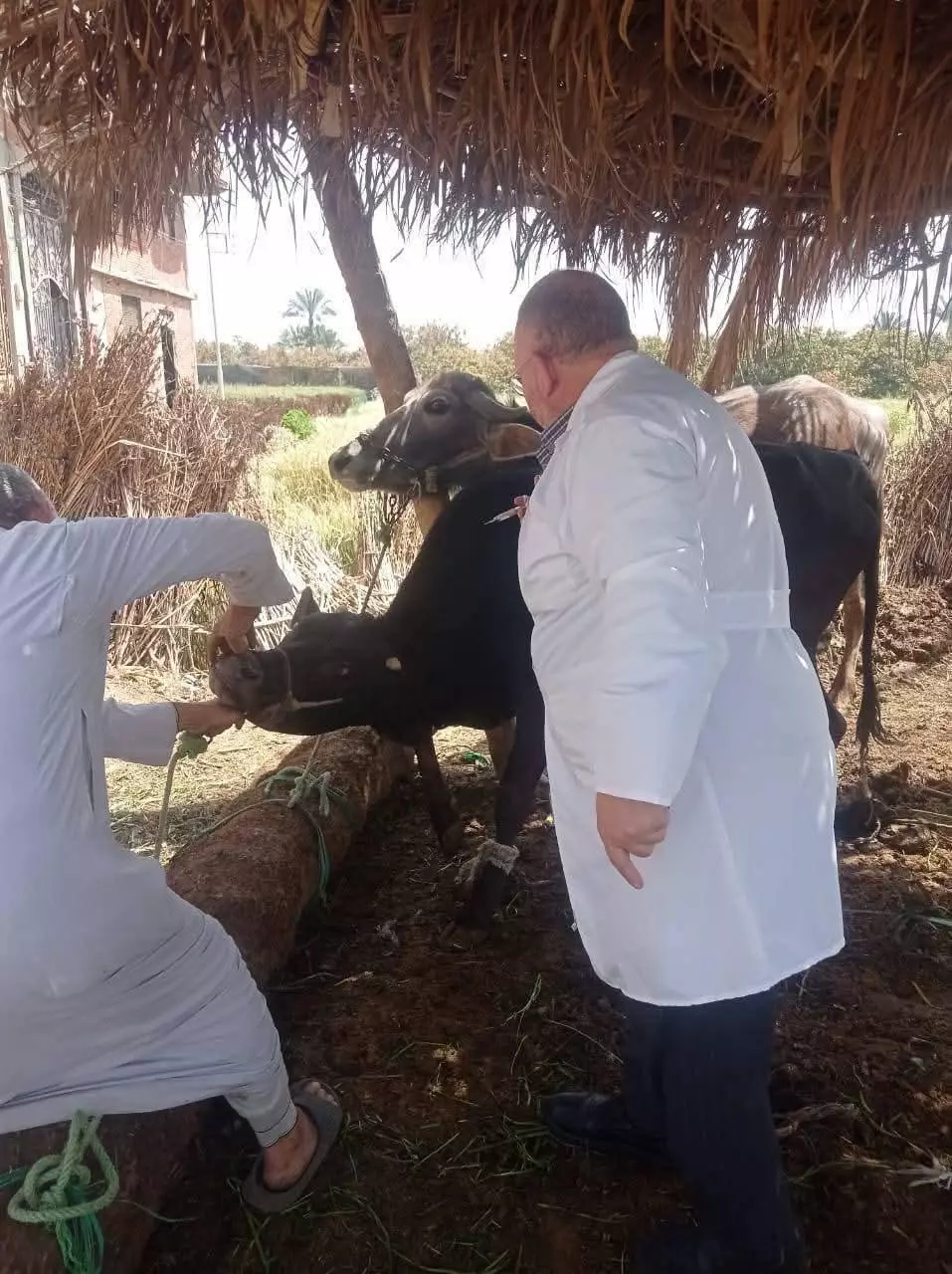 وزارة الزراعة