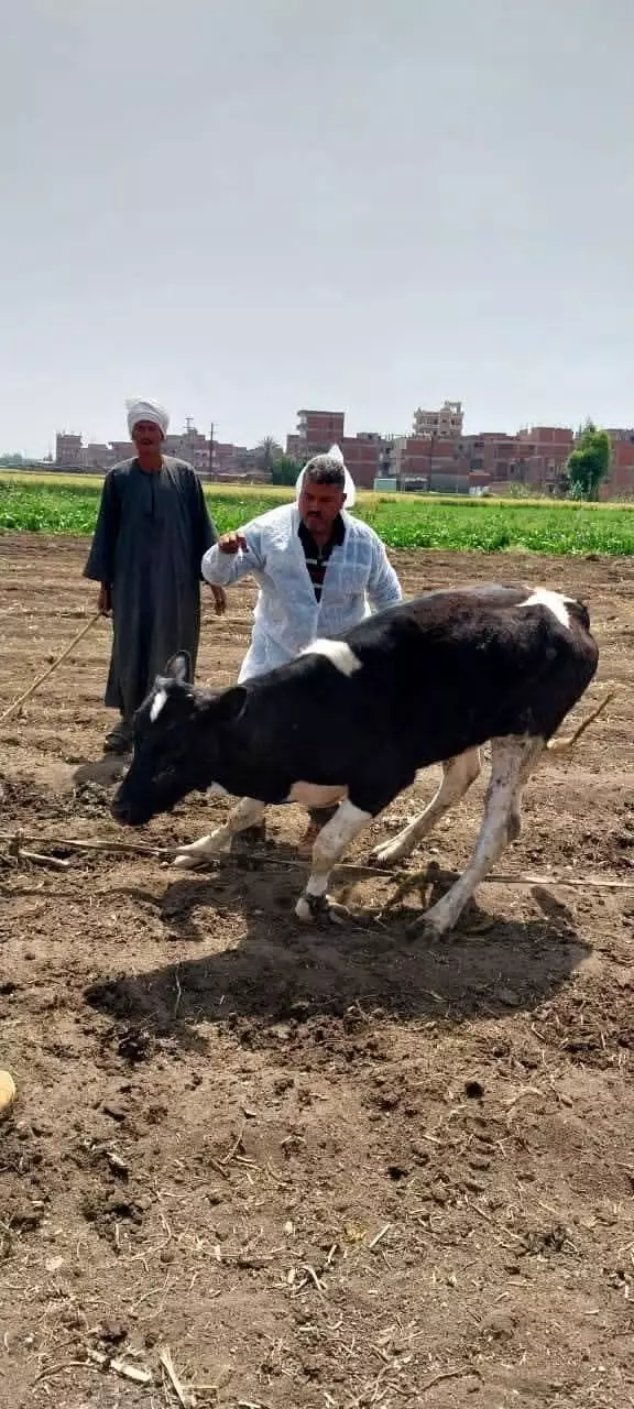 وزارة الزراعة