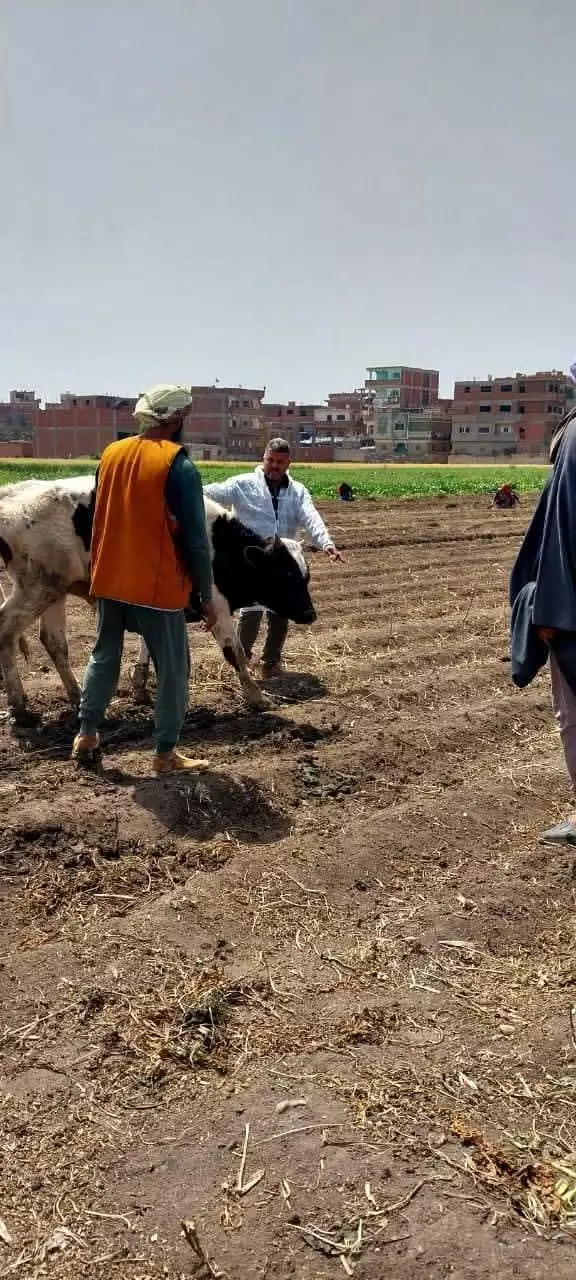 وزارة الزراعة